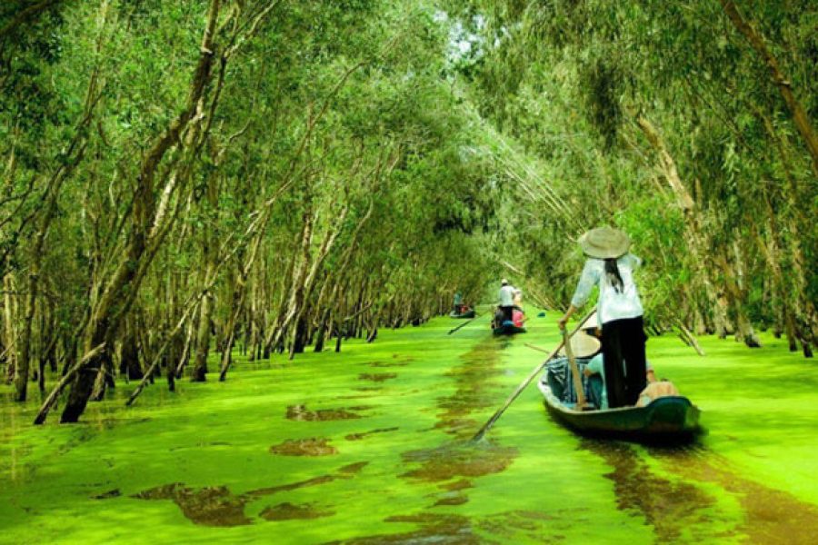 Mekong Delta Tour 52854