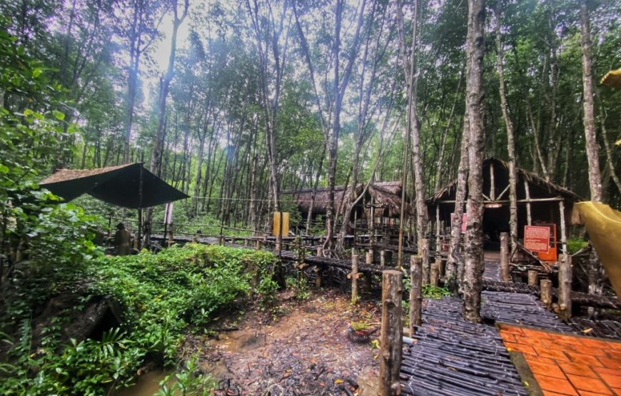 Can Gio Mangrove Forest 1 Day