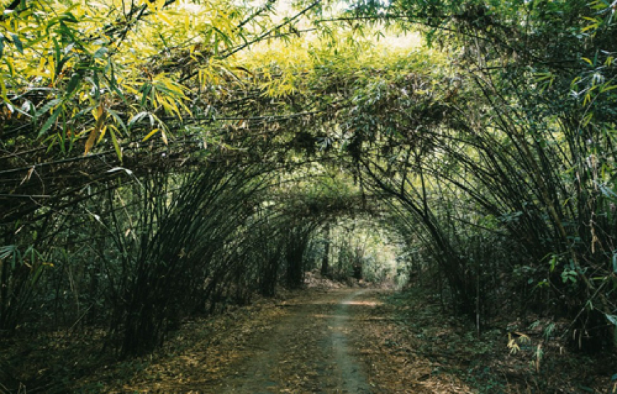 Nam Cat Tien National Park 2 Days