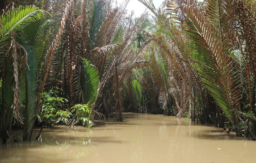 Mekong Delta – 1 day – Long An My Tho (Deluxe Tour)