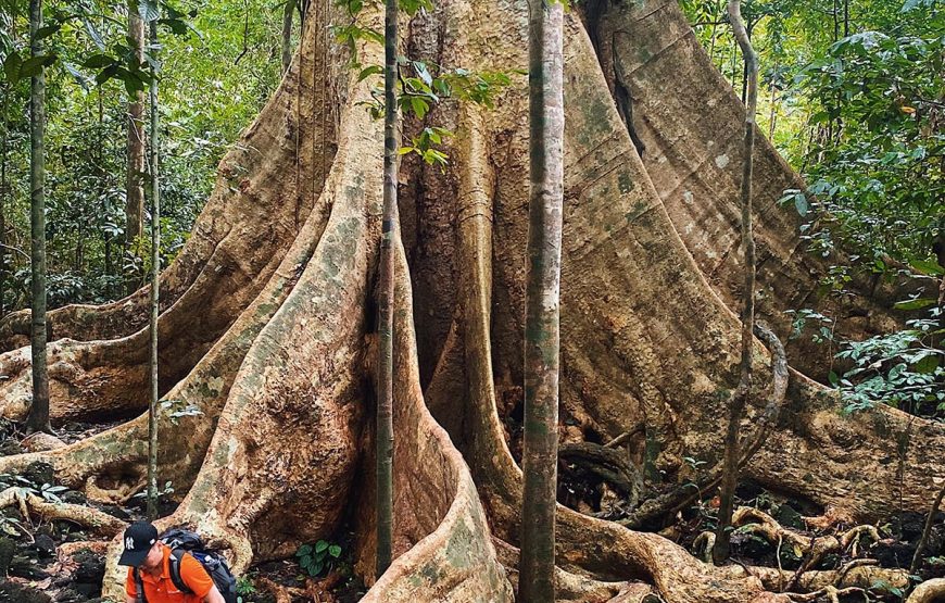 Nam Cat Tien National Park 2 Days