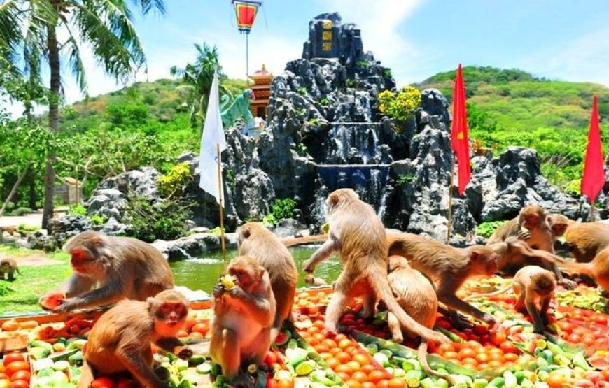 Nha Phu Bay – Monkey