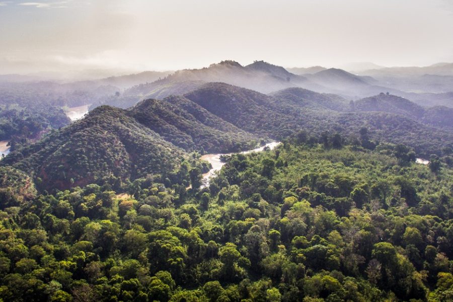 Nam Cat Tien National Park 2 Days