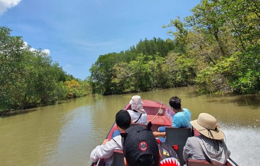 Can Gio Mangrove Forest 1 Day