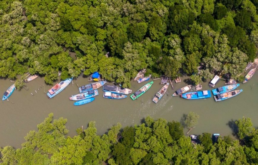 Can Gio Mangrove Forest 1 Day