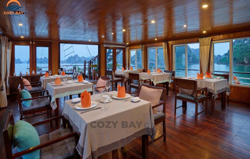 Cozy Cruise 3* 2 Days 1  Night – Ha Long Bay- Surprising Cave- Tittop Island