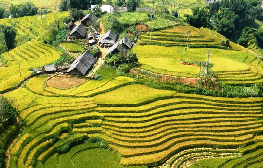 Sapa Trekking  3 Days -1 Night Hotel -1 Night in Homestay: Lao Chai-Ta Van- Giang Ta Chai Village