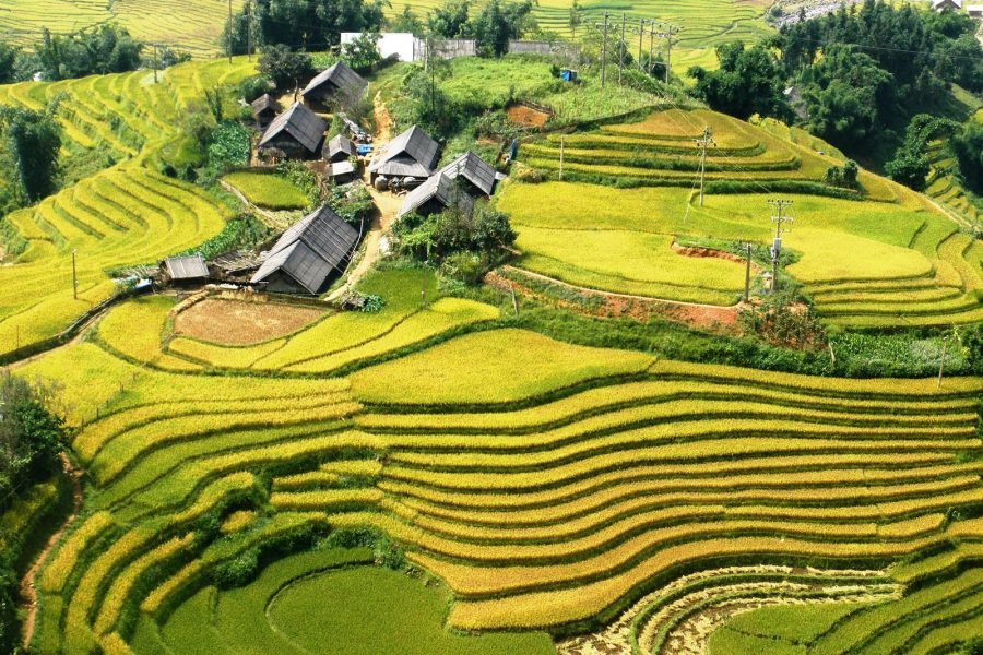 Sapa  2 Days 1 Night ( Homestay) -Ta Van-Van Ta Chai Village