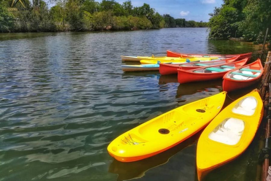 Starfish Beach & River Kayaking 1 Day