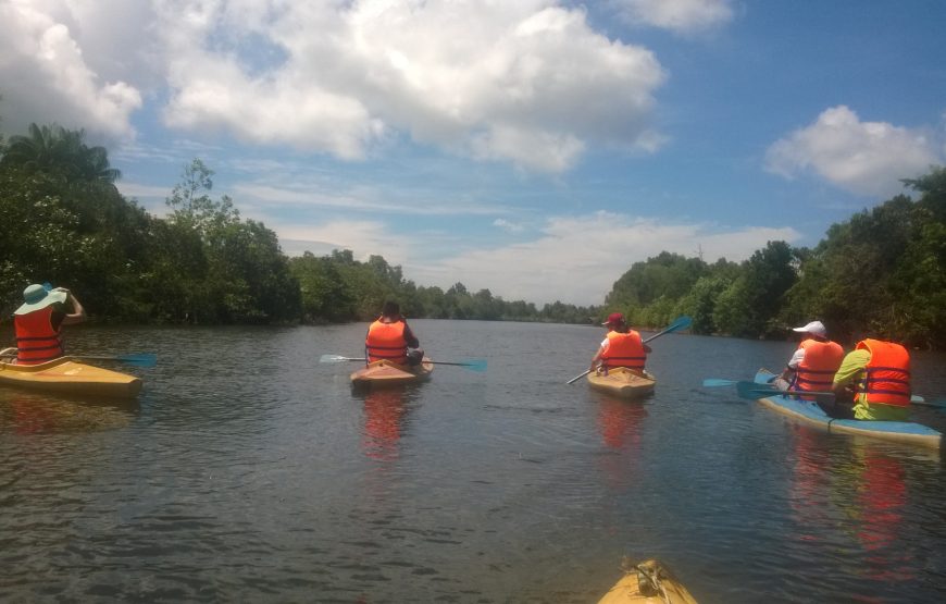 Starfish Beach & River Kayaking 1 Day